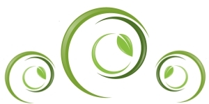 General Organization
